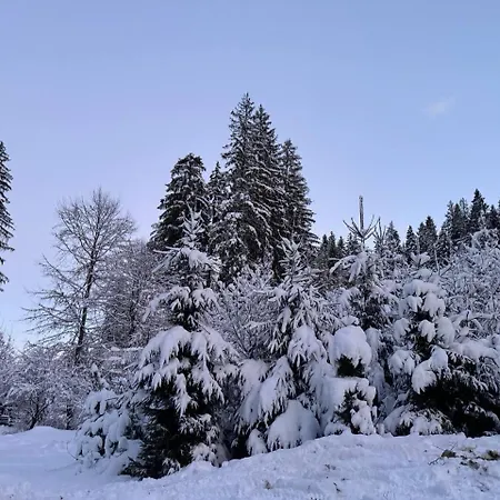 Prázdninový dům Monte Vista 2 *
