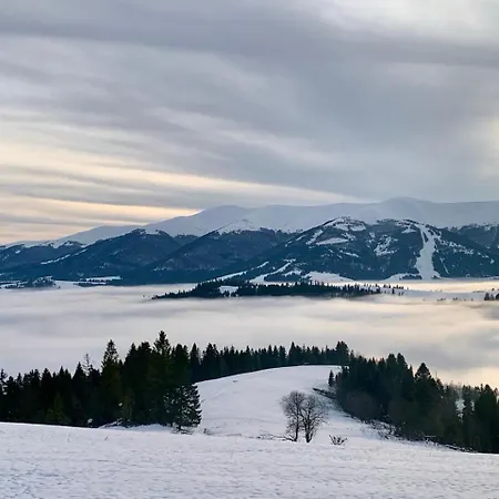 Monte Vista 2 Ferienhaus Rostoka (Transcarpathia)