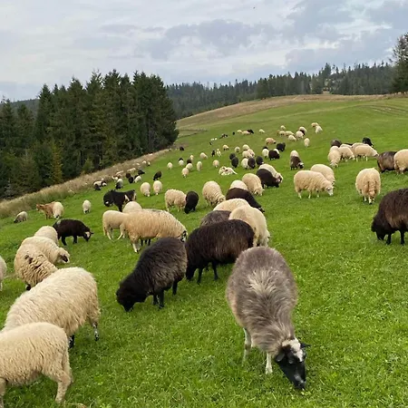 Monte Vista 2 Ferienhaus *