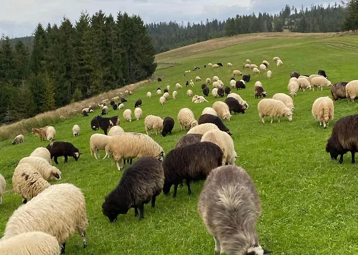 Monte Vista 2 Prázdninový dům *