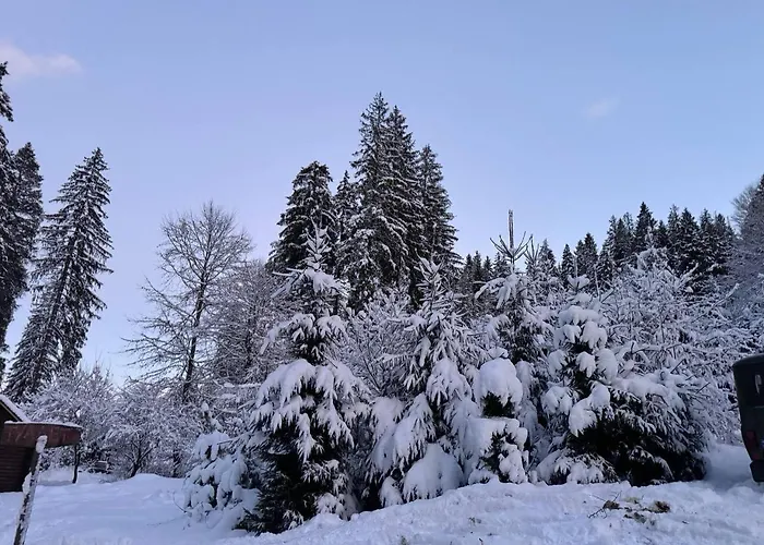 Hébergement de vacances Monte Vista 2 *